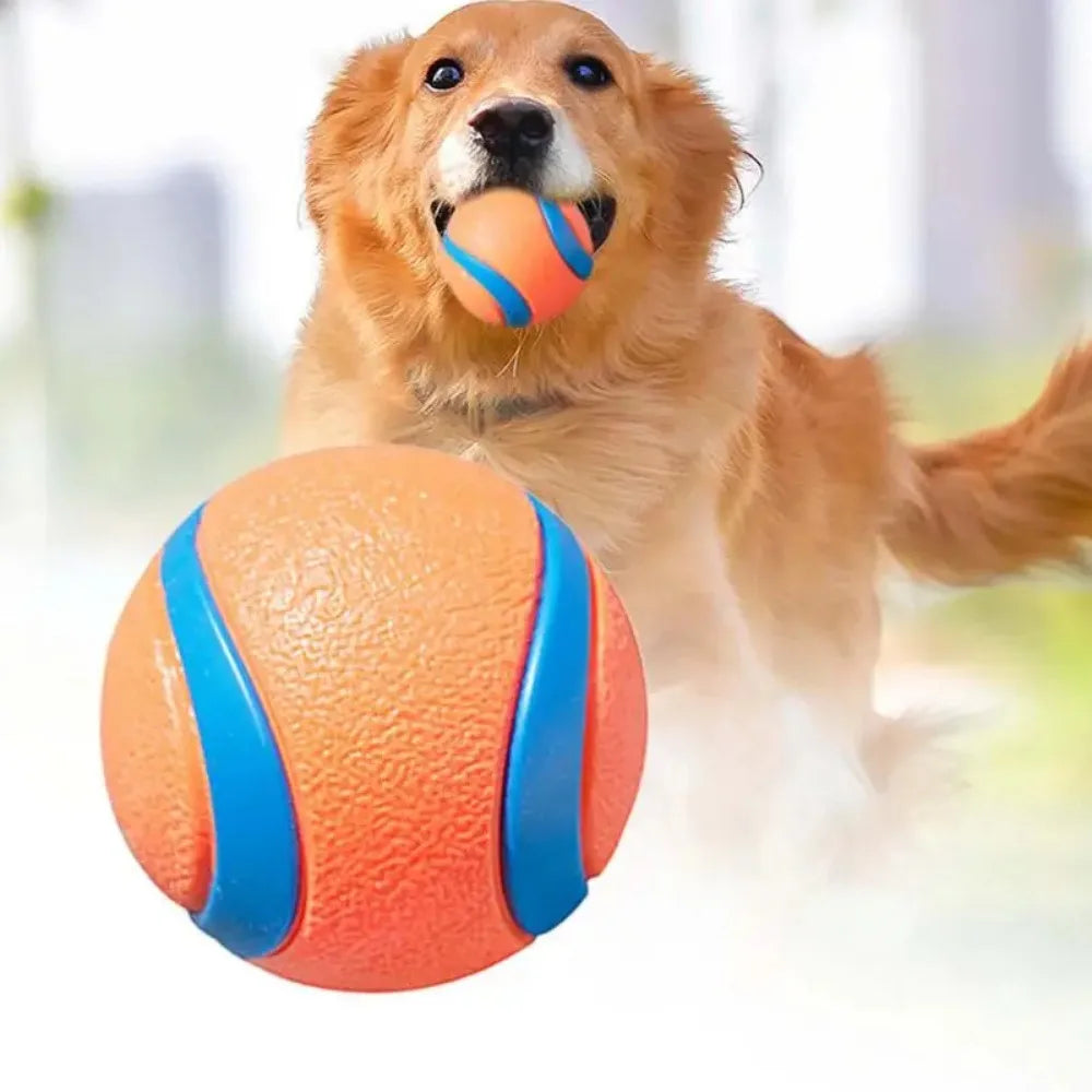 Rubber Dog Ball – Fetch, Chew & Jumping Toy