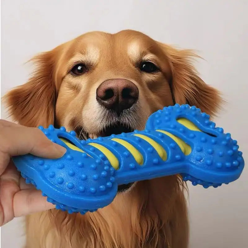 Rubber Dog Bone – Squeaky Chew & Interactive Toy