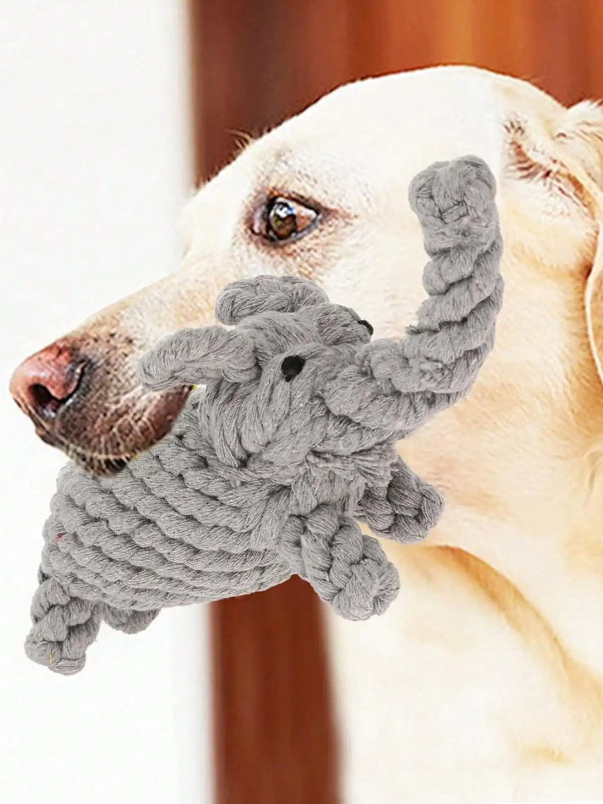 Rope Dog Toy – Knotted Cotton Chew Toy for Small & Medium Dogs