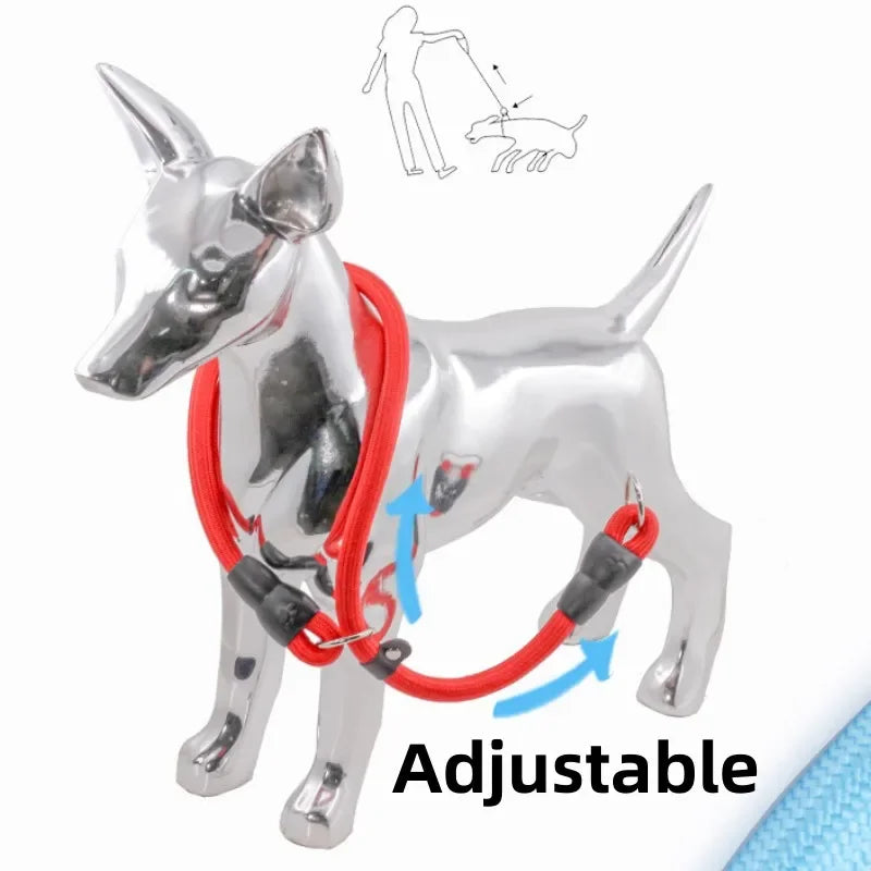 Dog Training Collar – Adjustable Nylon Collar for Walking & Training