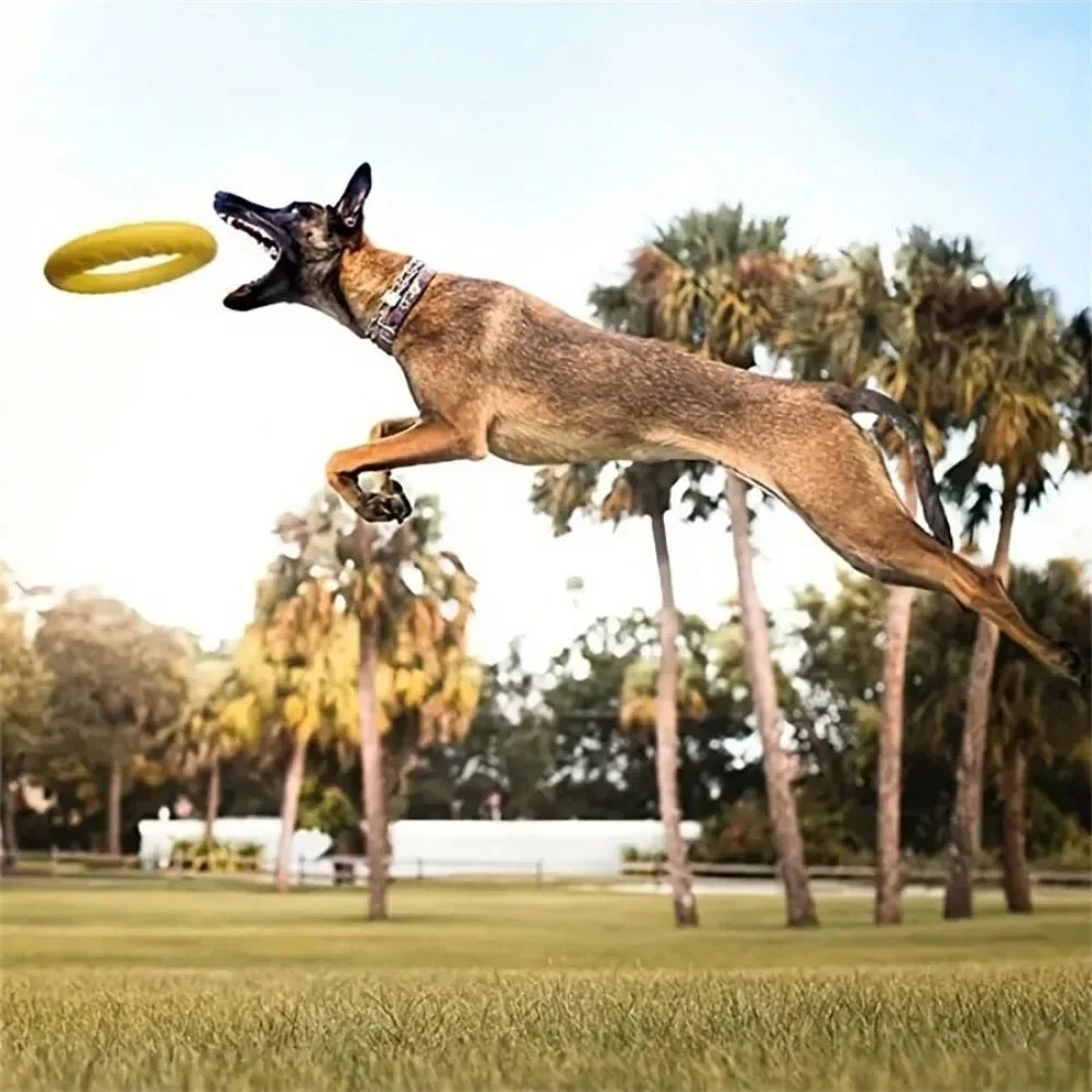 Flying Disc Dog Toy – Interactive Fetch & Pull Ring