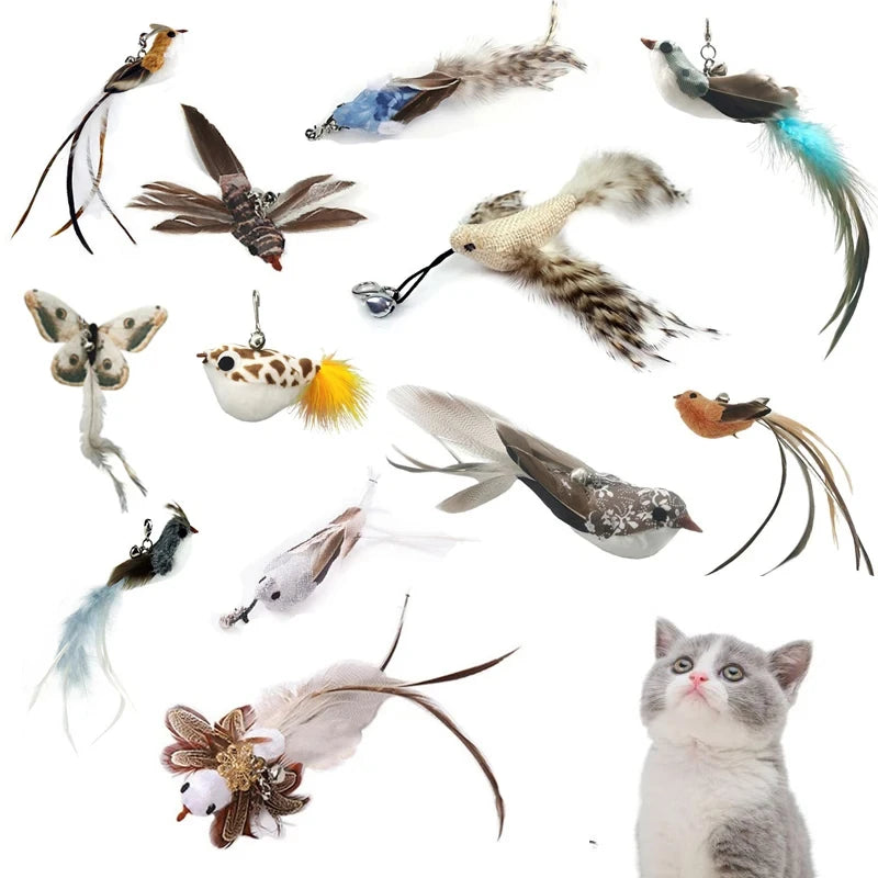 Cat Feather Wand Toy – Interactive Bell Teaser Replacement