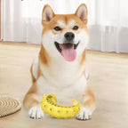 Dog Teething Toy, TPR Chew Stick & Treat Dispensing Toy