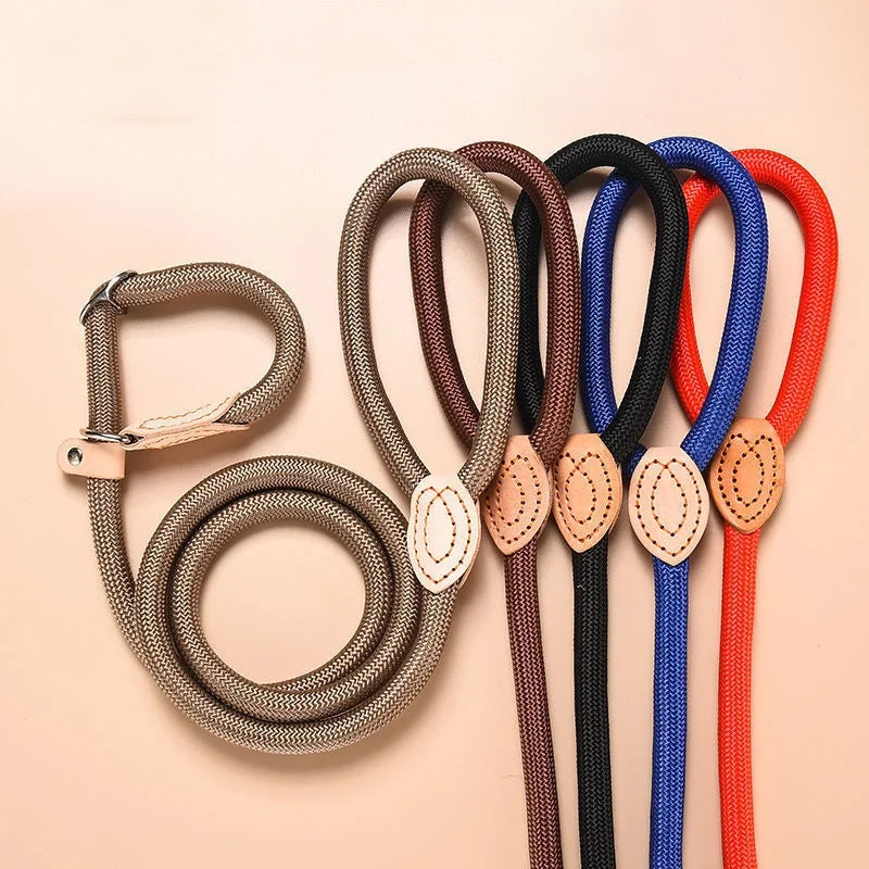 Adjustable Dog Leash – Nylon Slip Lead for Small to Medium Dogs
