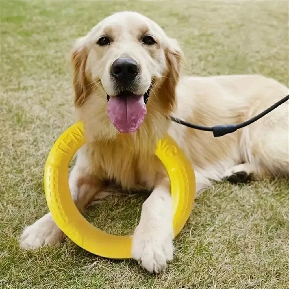 Flying Disc Dog Toy – Interactive Fetch & Pull Ring