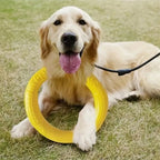 Dog Pull Ring Toy, Interactive EVA Training & Floating Toy
