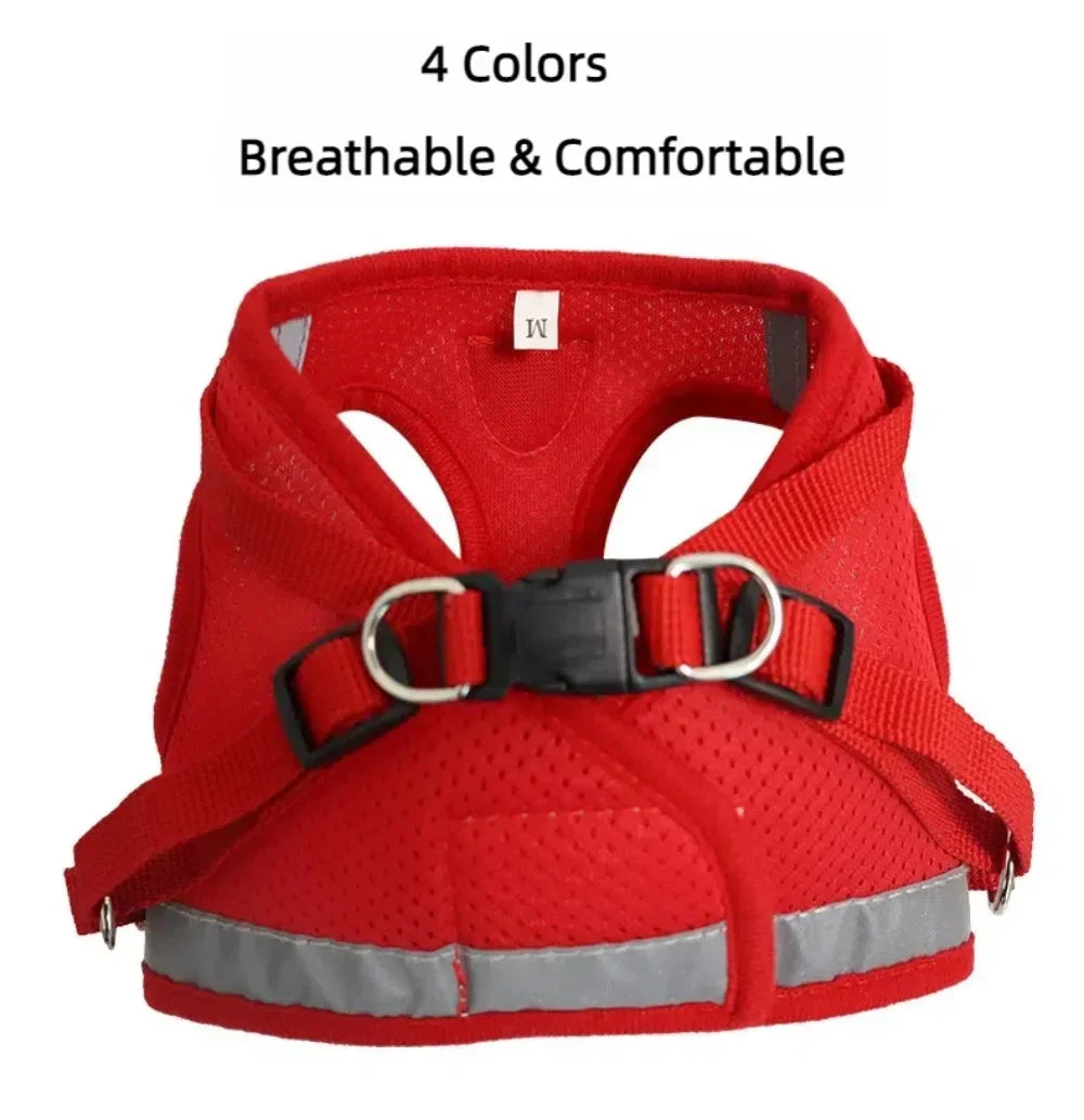 Cat Harness and Leash Set