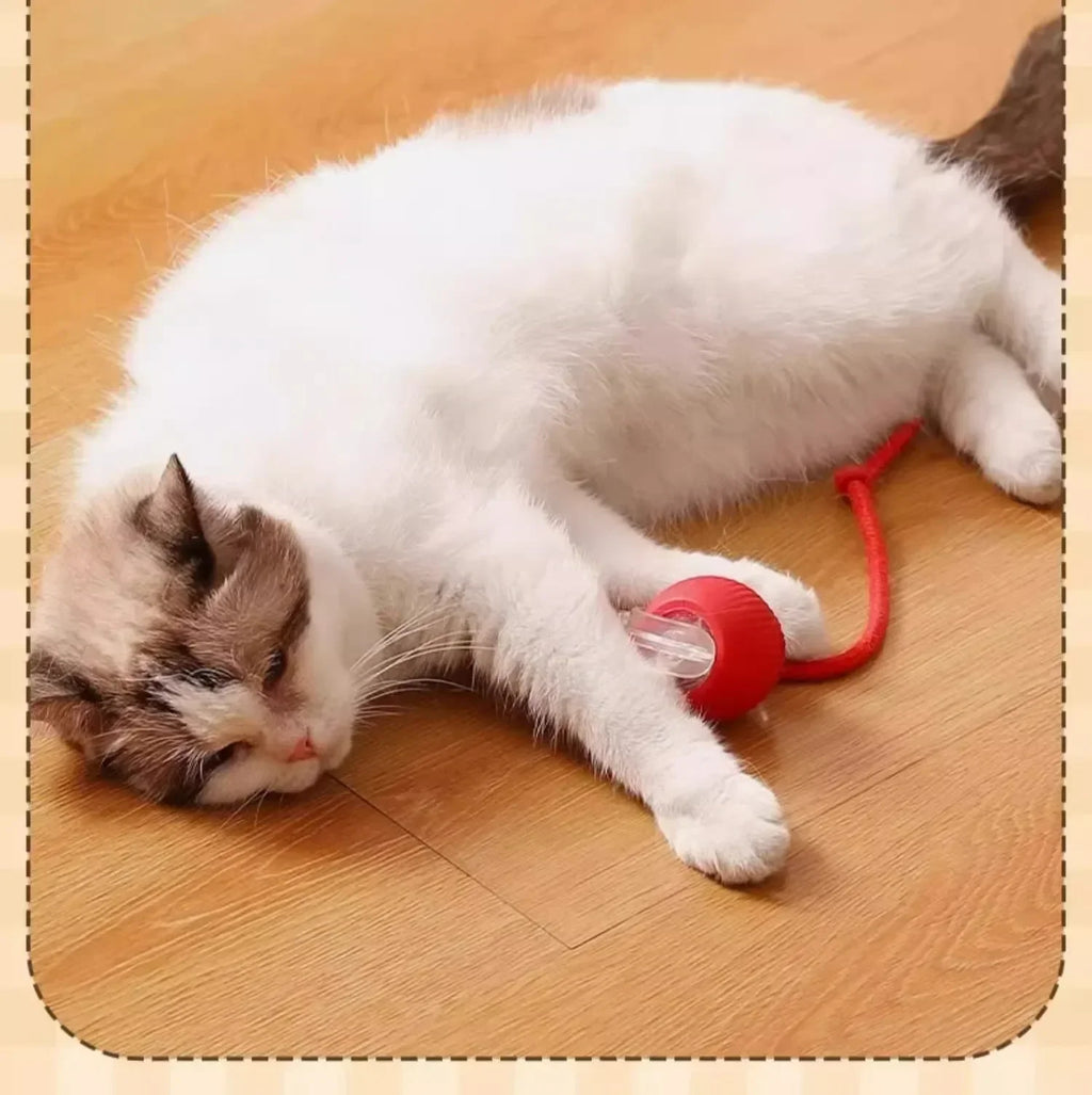 Smart Obstacle Avoidance Cat Ball Toy Adjustable Speed Electric Self Rolling Interactive Ball With Long Elastic Rope For Play