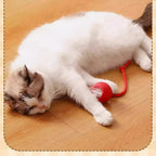 Cat Grooming Arch with Massage Brush & Scratching Pad