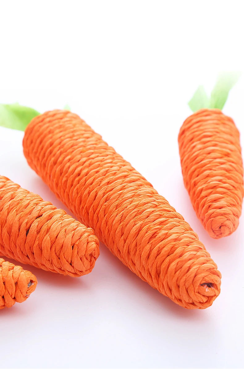 Cat Chew Toy – Carrot Interactive Dental & Scratcher Toy