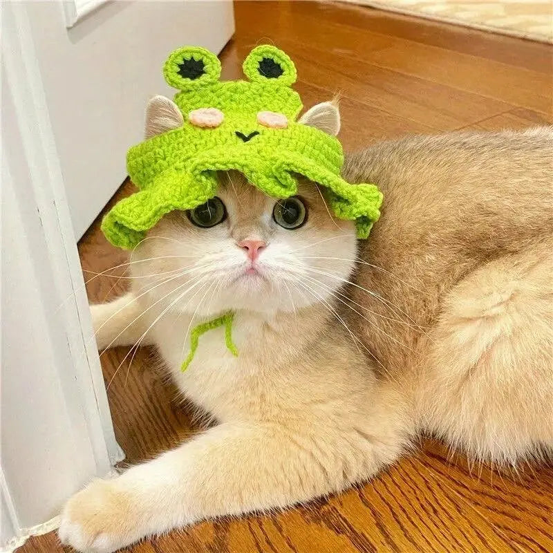 Cat Knitted Hat – Cute Winter Pet Accessory