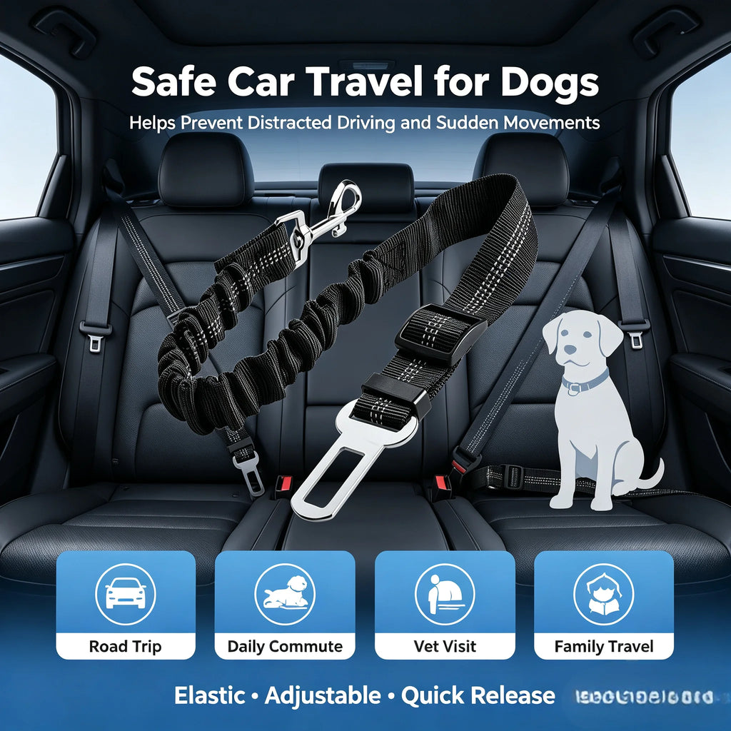 Dog Car Seat Belt