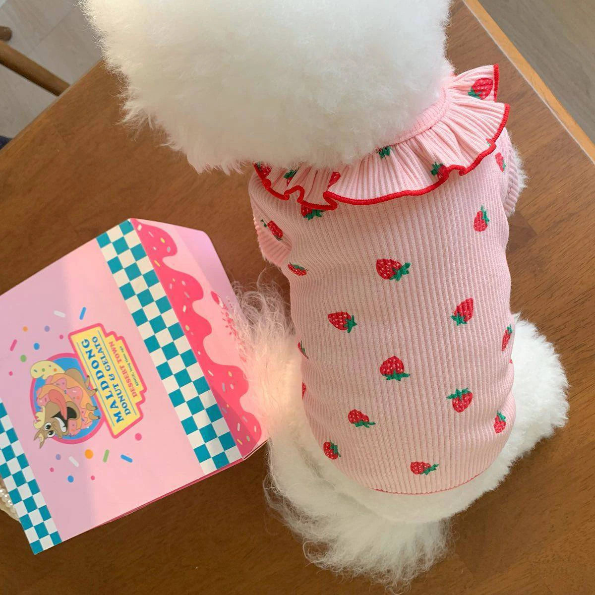 Small Dog Clothes – Breathable Summer Vest with Ruffled Collar