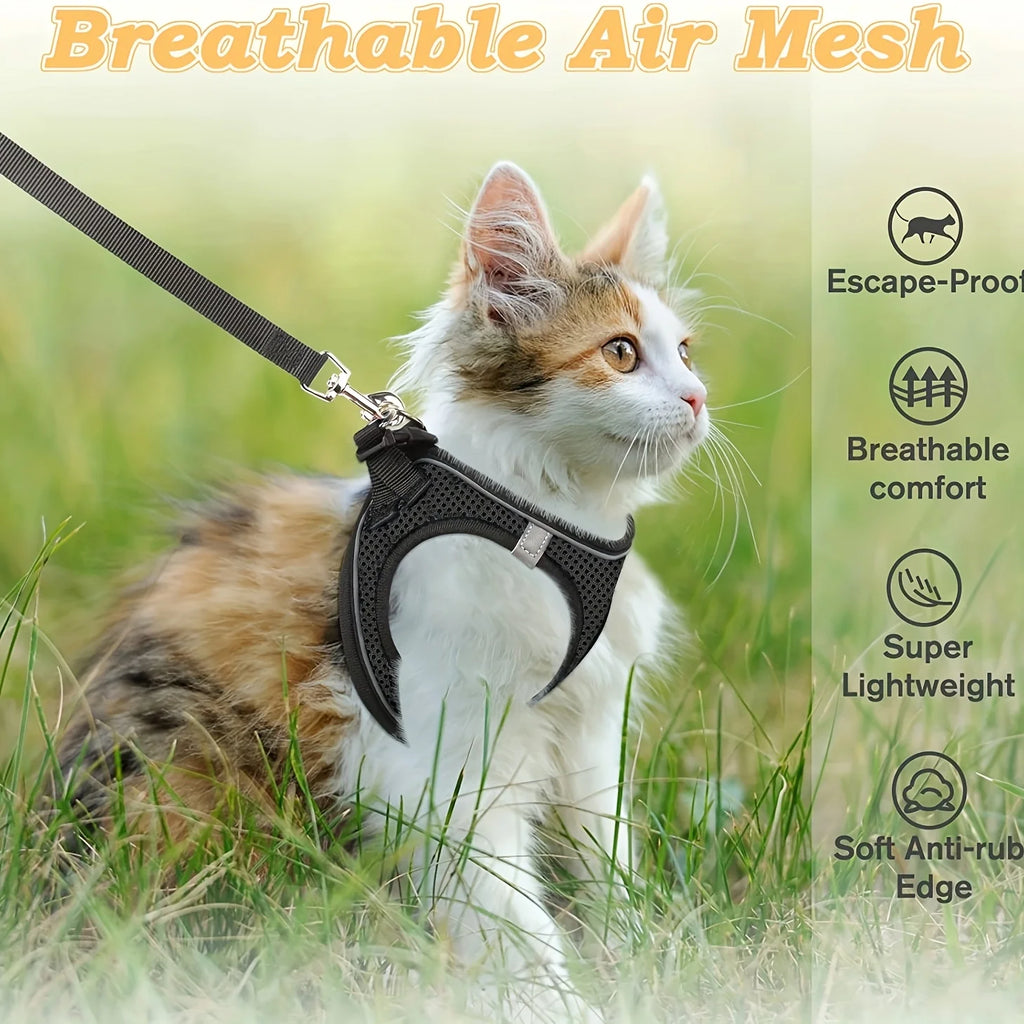 Dog Collar – Adjustable Nylon Collar