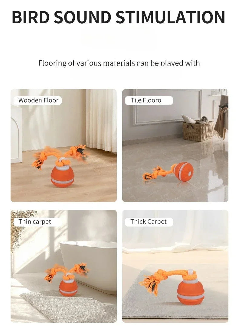 Interactive Dog Ball – Motion Activated Rolling Toy for Dogs