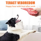 Squeaky Dog Toy Chew Bone for Puppies & Training