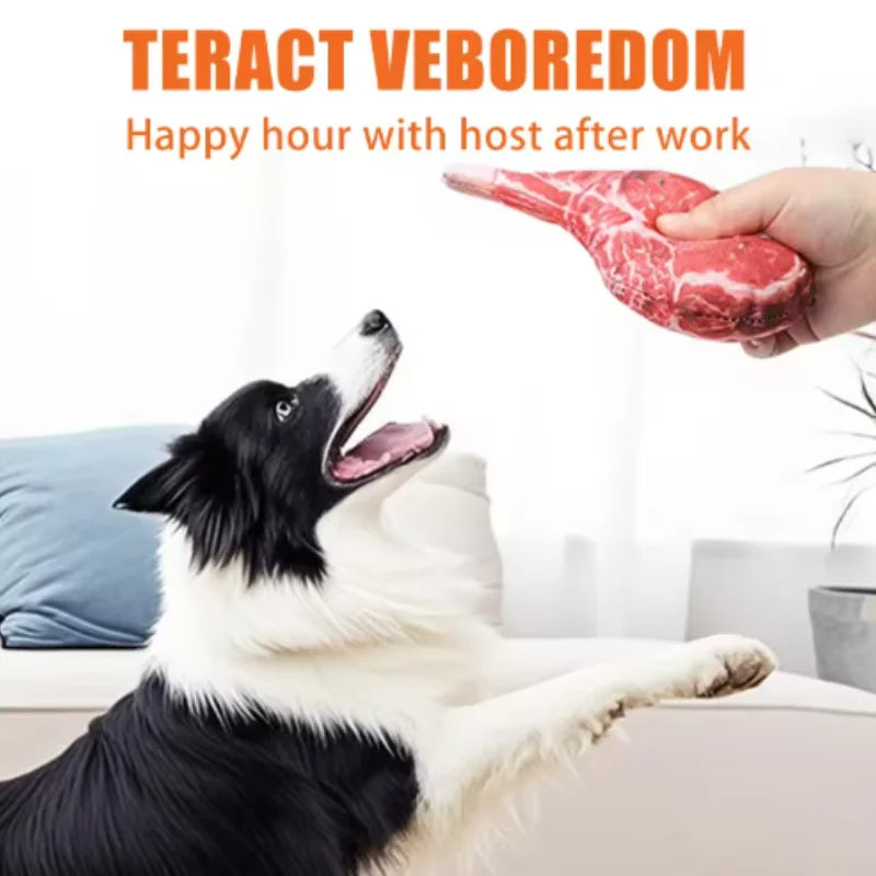 Squeaky Dog Toy Chew Bone for Puppies & Training