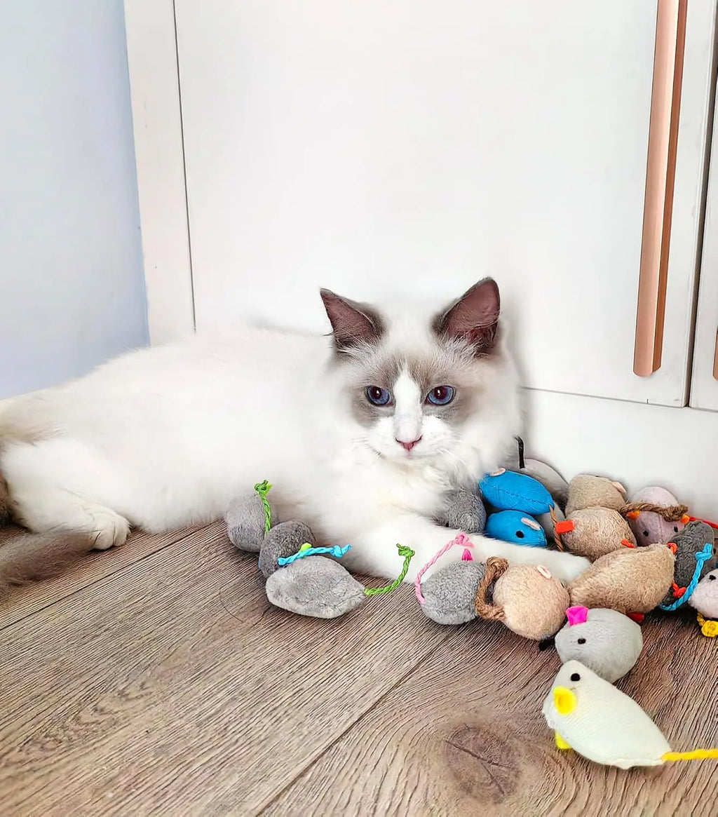 Catnip Mouse Toy for Indoor Cats – Plush Interactive Cat Toy