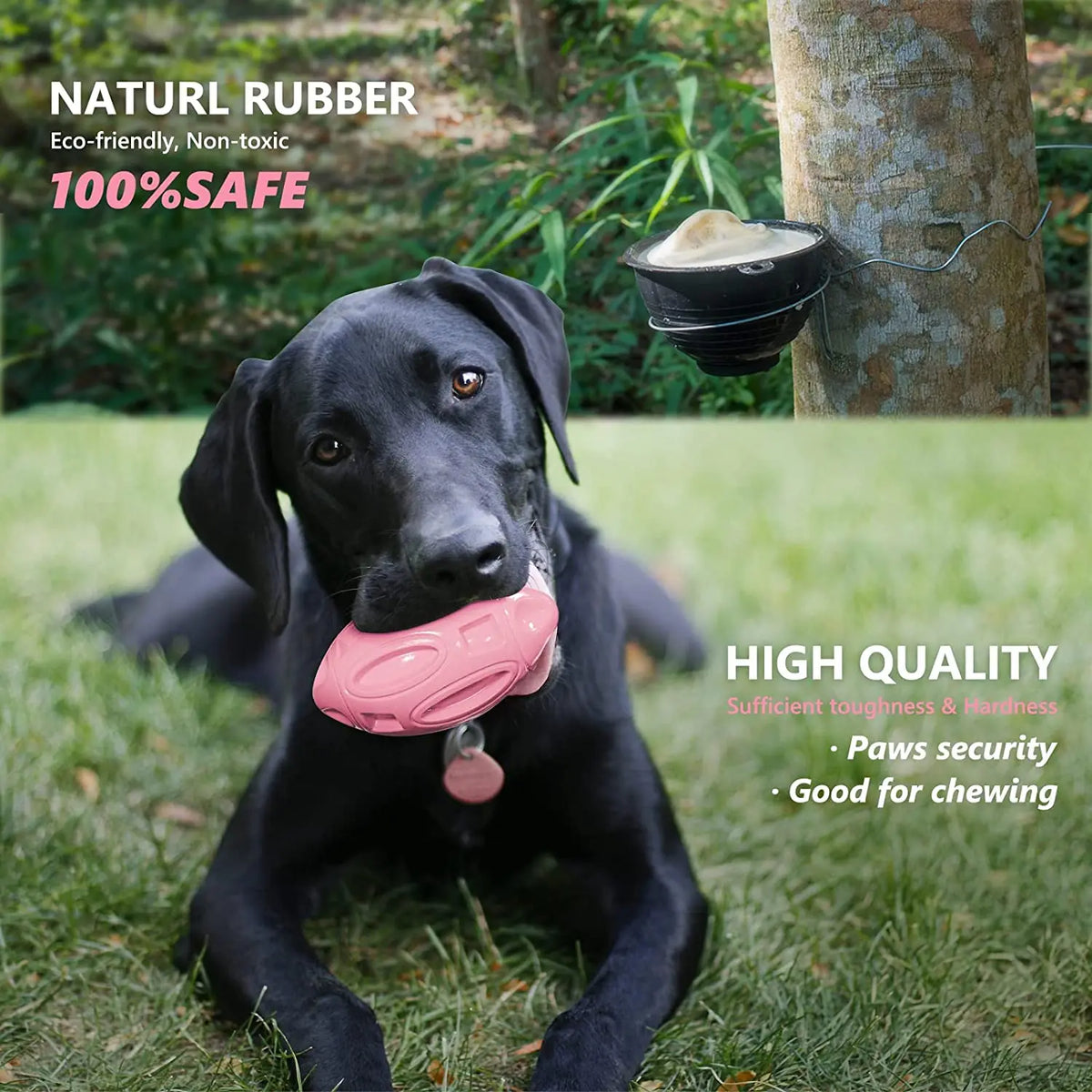 Rubber Dog Chew Ball – Squeaky Toy for Medium & Large Dogs
