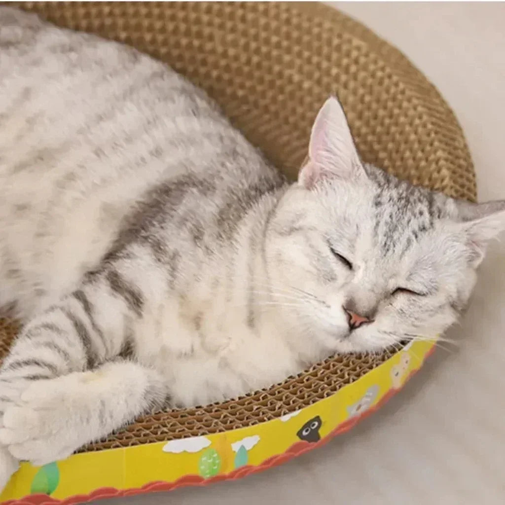 Cat Scratching Board – Corrugated Paper Cat Scratcher & Bed