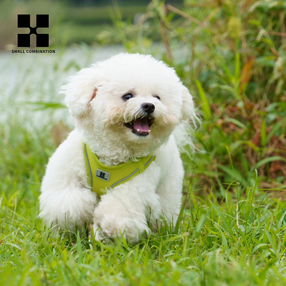 Dog Harness and Leash Set – Adjustable Reflective Puppy Harness