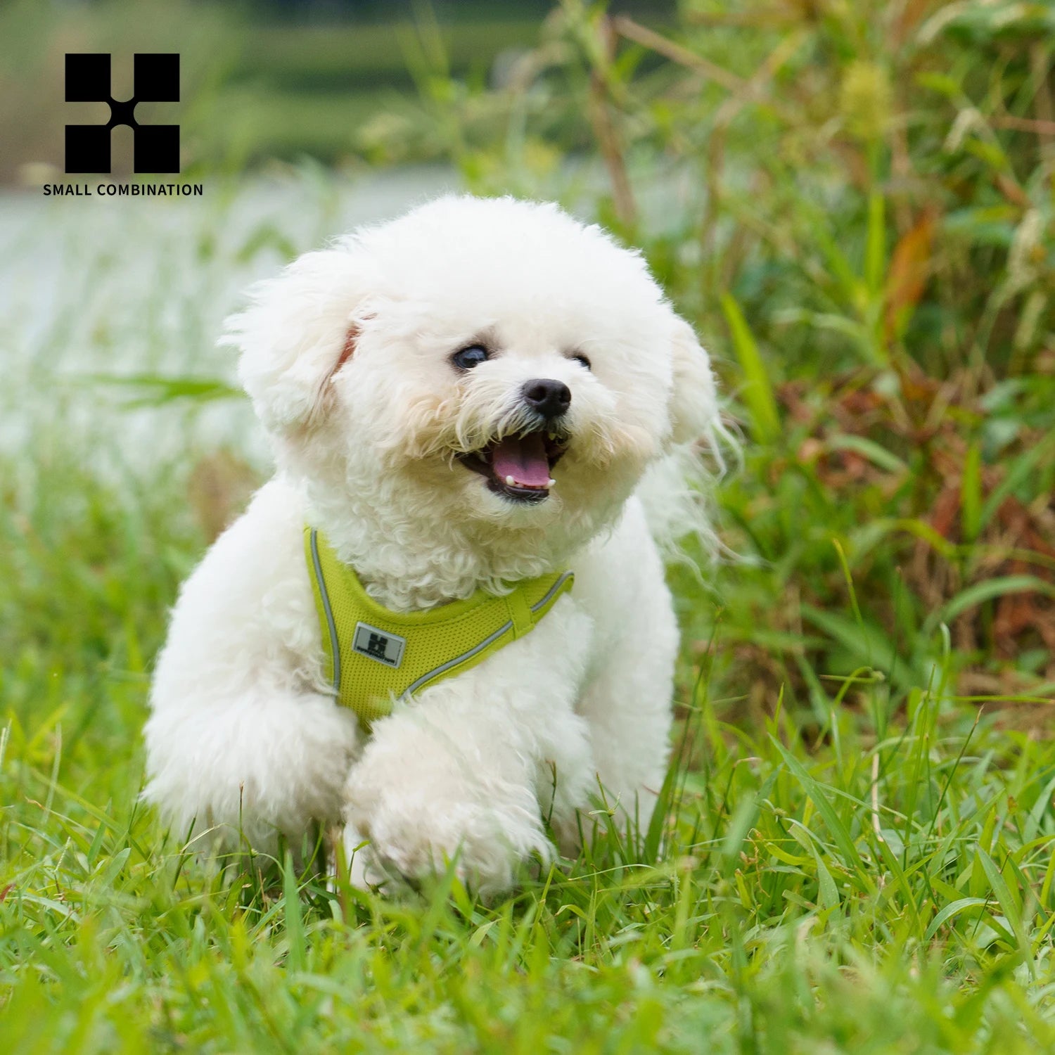 Cat Harness and Leash Set – Reflective Adjustable Vest
