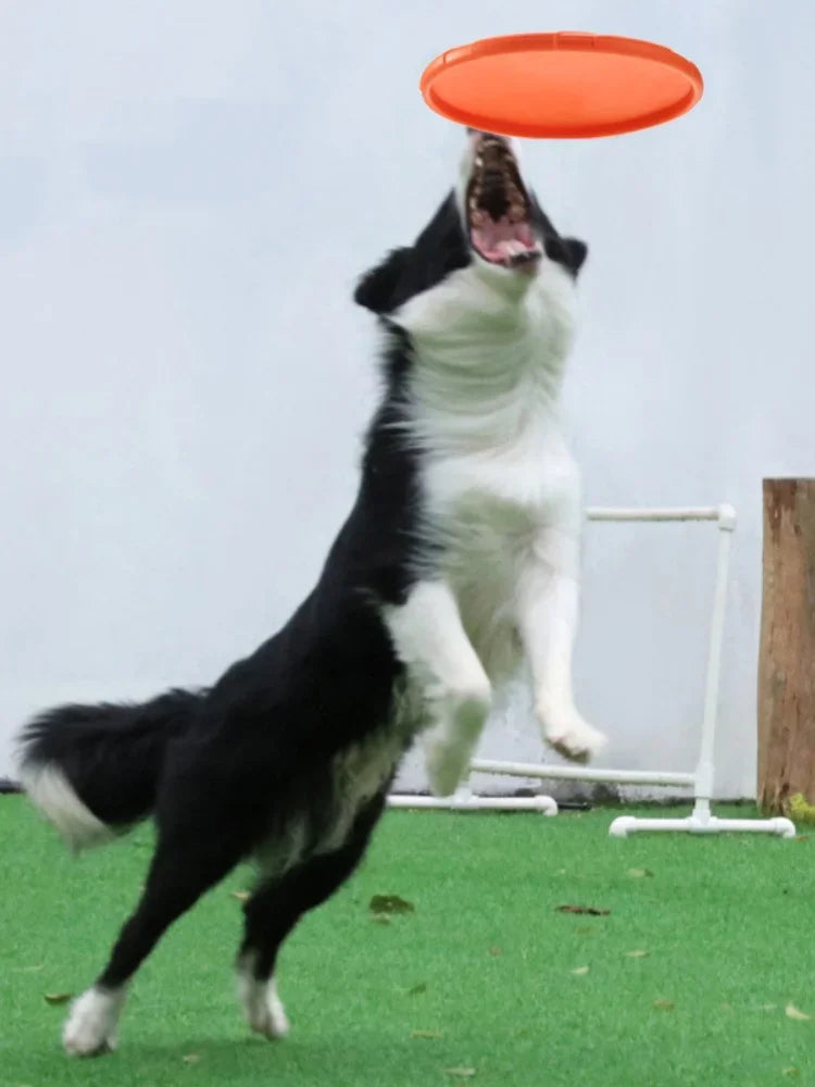 Flying Disc Dog Toy – Silicone Interactive Fetch Toy for Puppies
