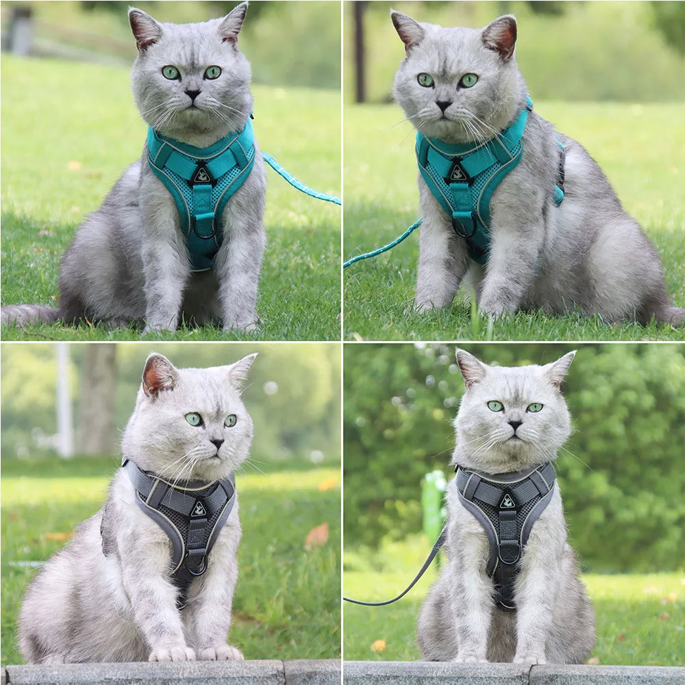 Small Dog Harness and Leash Set – Adjustable Vest