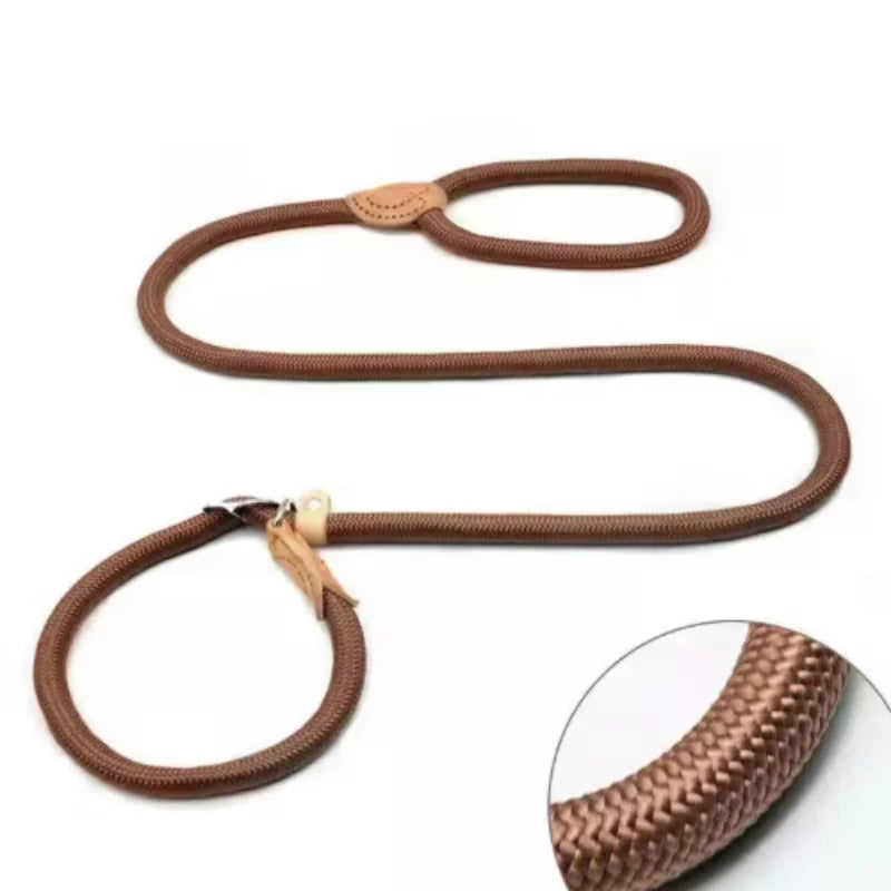 Adjustable Dog Leash – Nylon Slip Lead for Small to Medium Dogs