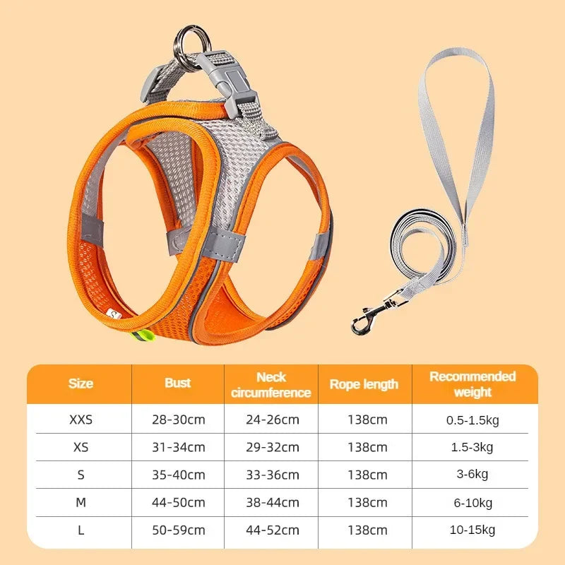A comfortable, adjustable harness with reflective detailing for everyday pet walks.