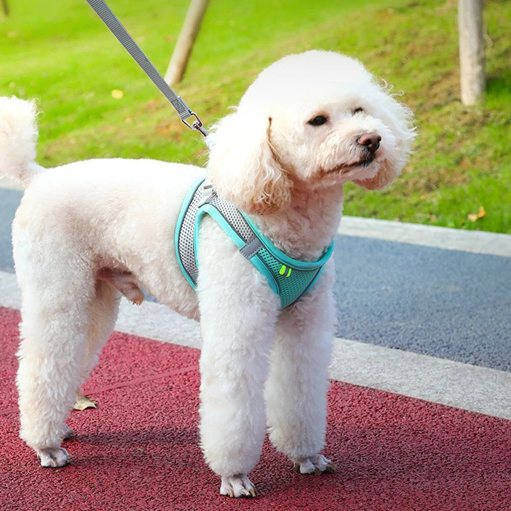 Reflective Dog Harness – Adjustable Vest with Leash Set
