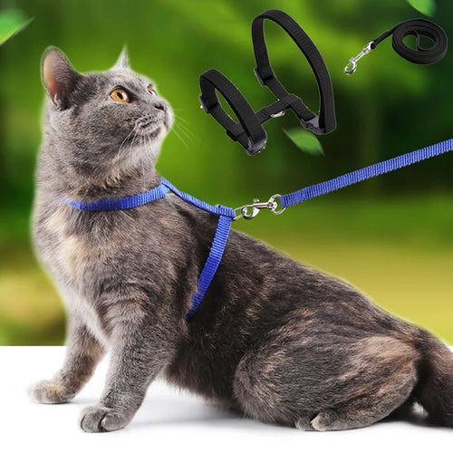 Adjustable Cat Collar – Breakaway Nylon Collar for Kittens & Cats