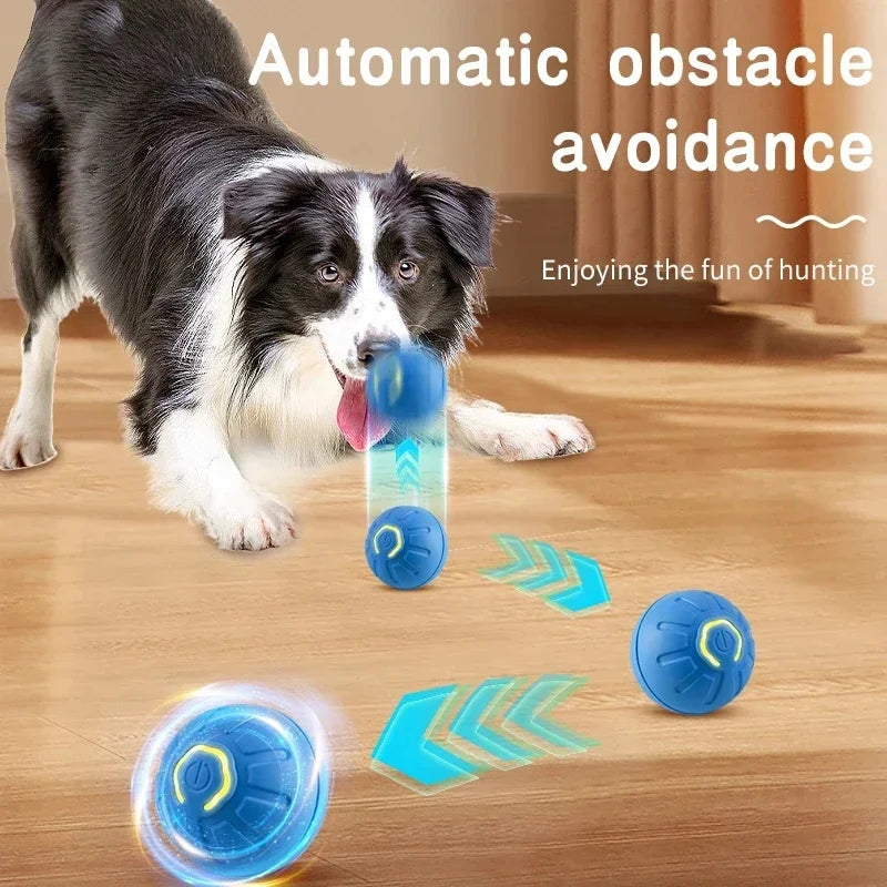 Interactive Dog Toy Automatic Moving Bouncing Ball USB-C