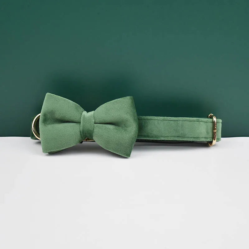 Dog Collar and Leash Set, Adjustable Velvet Collar with Gold Detail