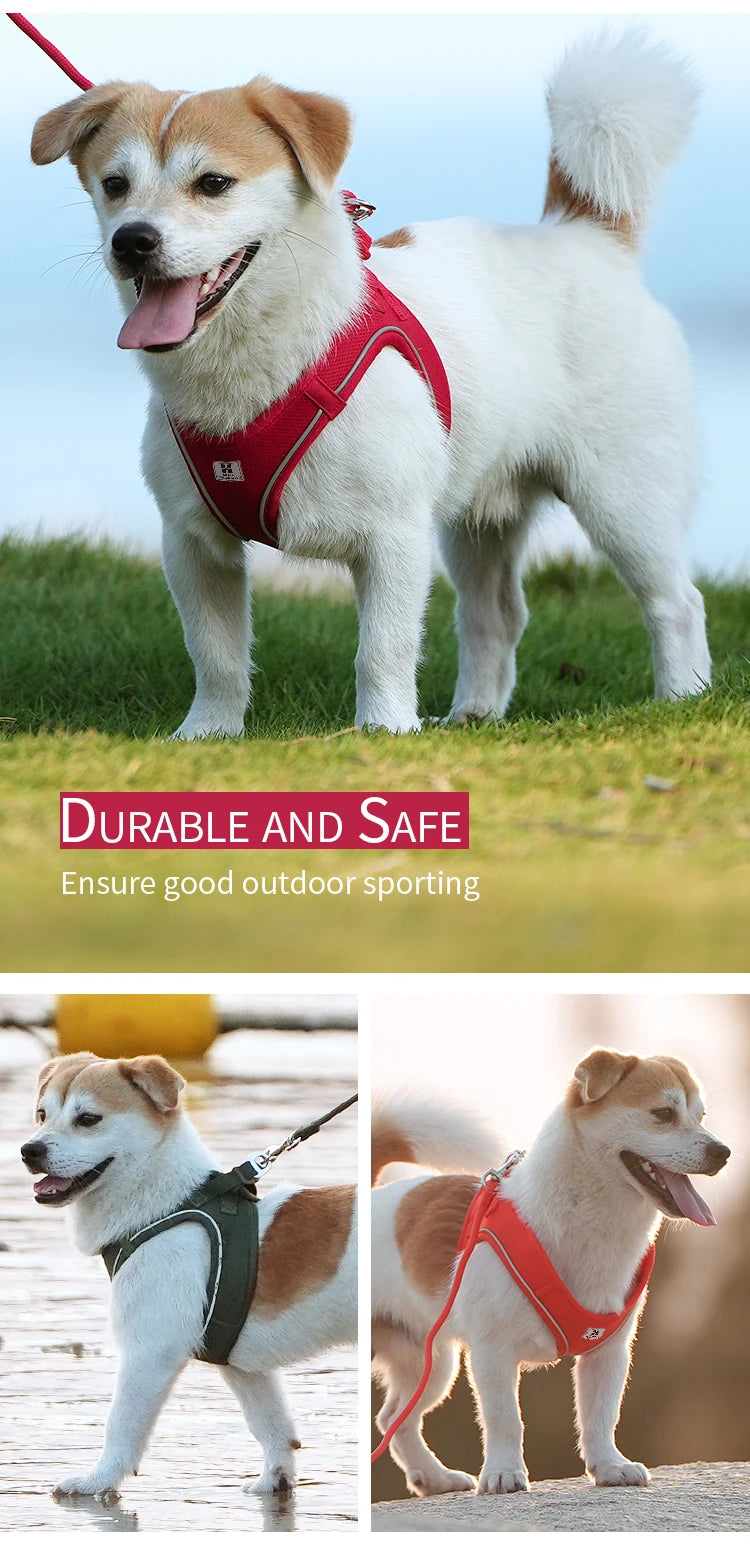 Cat Harness and Leash Set – Reflective Adjustable Vest