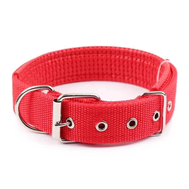Nylon Dog Collar – Solid Breakaway Collar for All Sizes