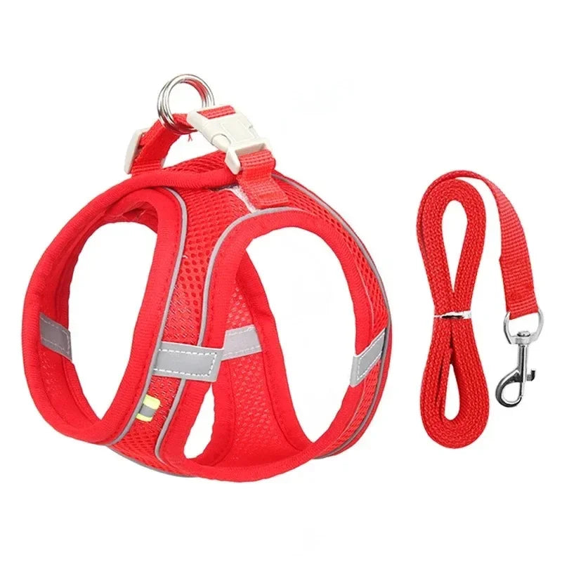 A comfortable, adjustable harness with reflective detailing for everyday pet walks.