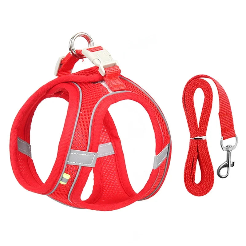 Small Dog Harness – Adjustable Reflective Vest With Leash