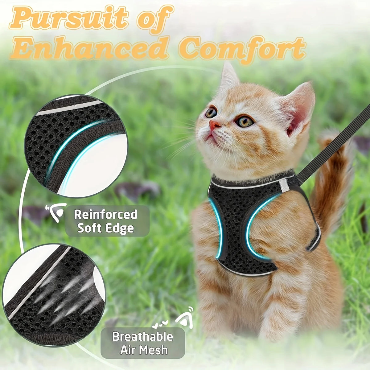 Dog Collar – Adjustable Nylon Collar