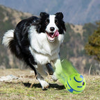 Interactive Dog Ball – Rolling Giggle Sound Toy