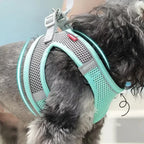 Small Dog Harness – Adjustable Reflective Vest with 1.5m Leash