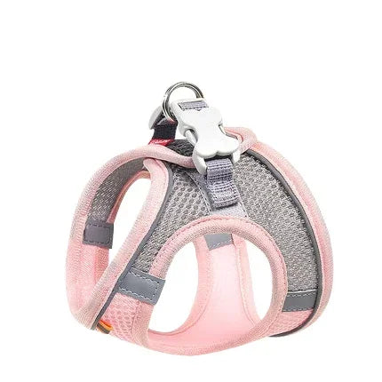 A comfortable, adjustable harness with reflective detailing for everyday pet walks.