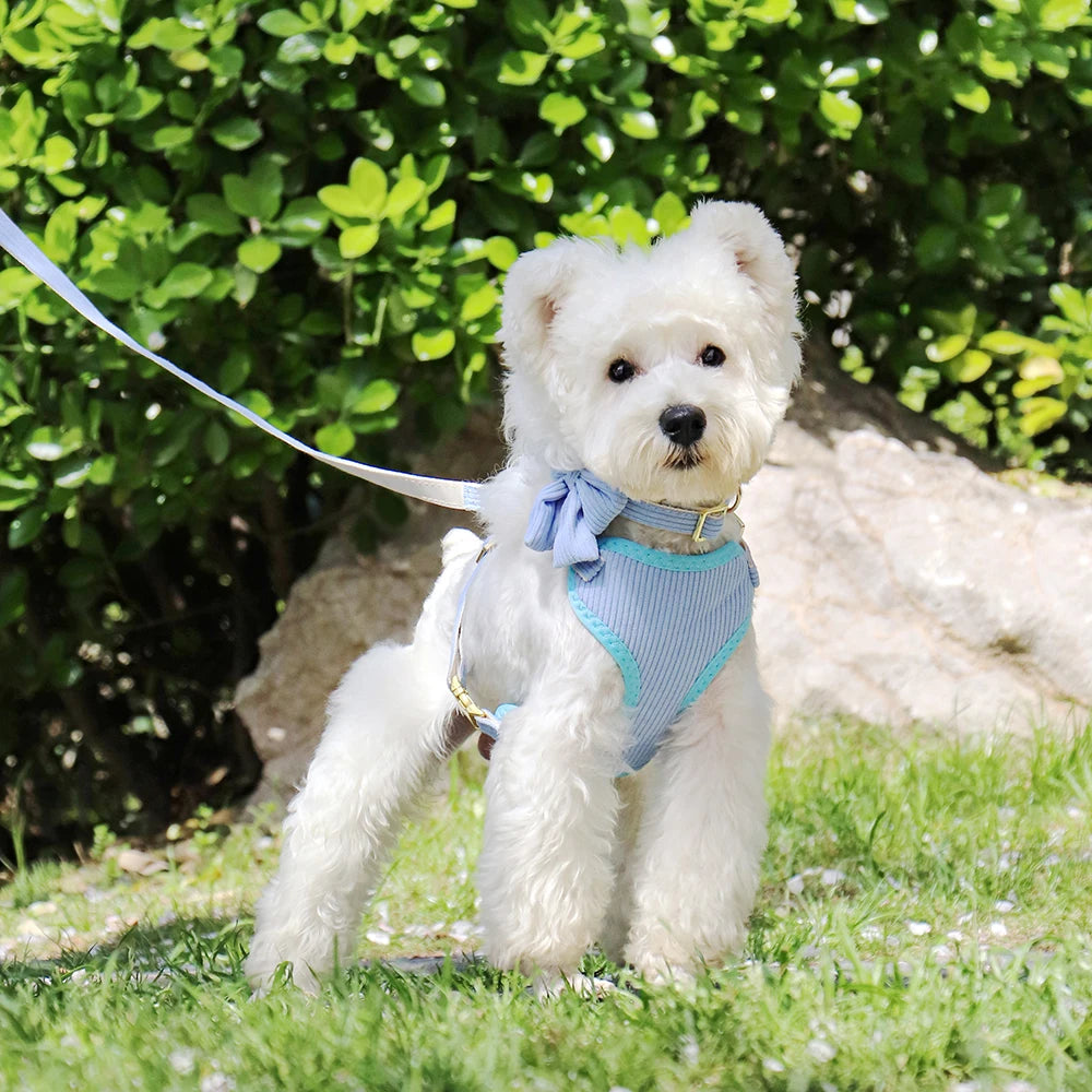 Dog Harness Leash Set, Soft Adjustable Harness & Collar for Small Dogs