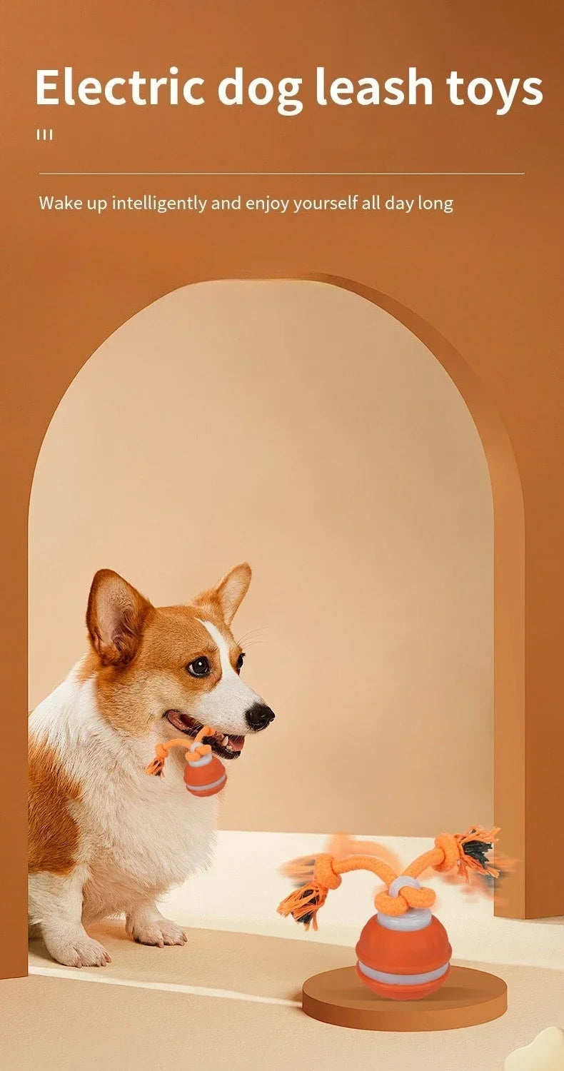 Interactive Dog Ball – Motion Activated Rolling Toy for Dogs