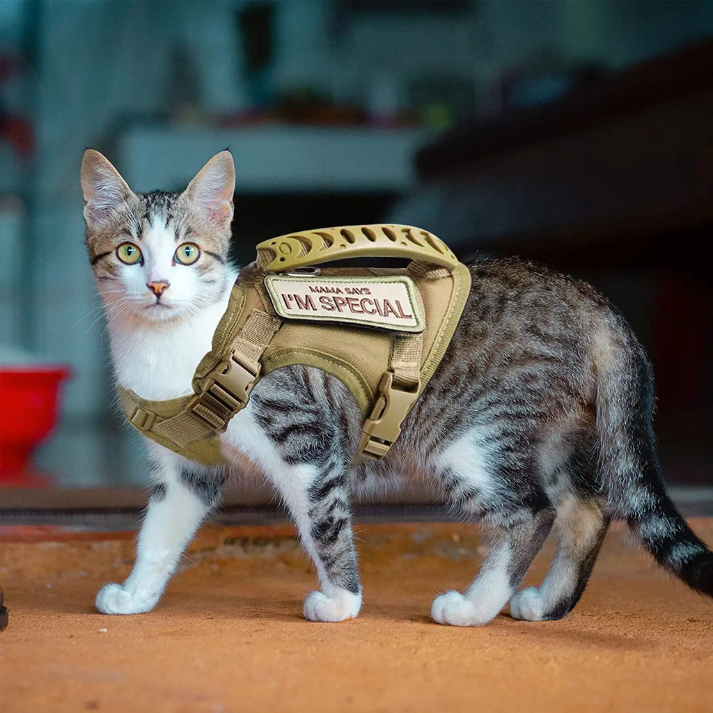 Tactical Cat Harness – Adjustable Soft Mesh Pet Vest