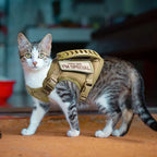 Cat Harness, Adjustable Soft Mesh Vest with Control Handle