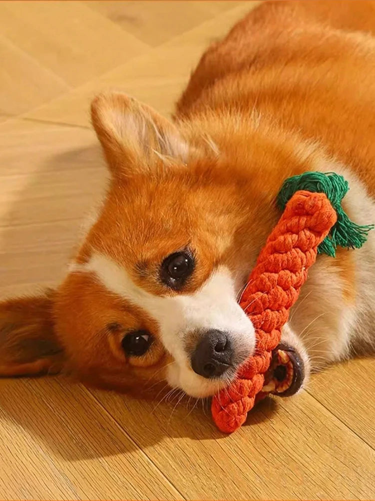 Rope Dog Toy – Knotted Cotton Chew Toy for Small & Medium Dogs