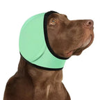 Dog Ear Protection – Noise Reduction Earmuffs
