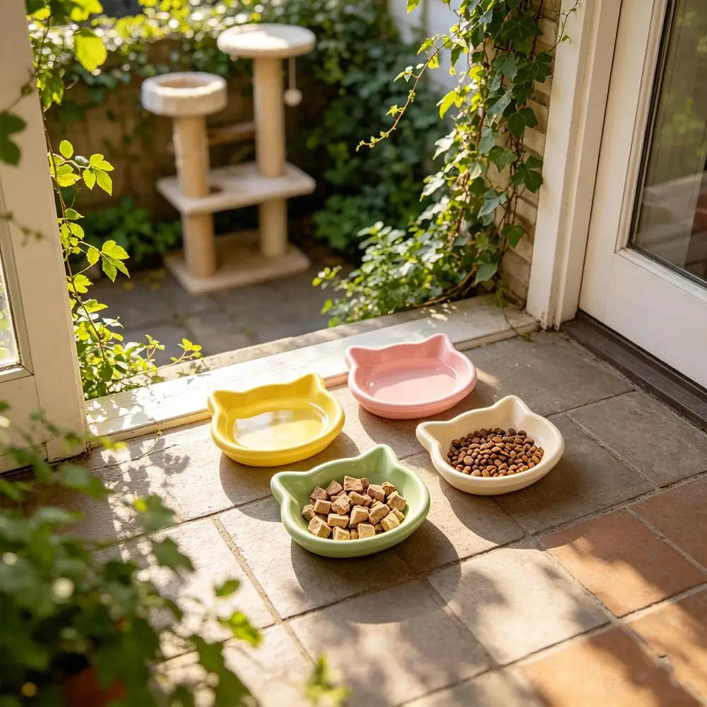 Cat Food Bowl – Shallow Plastic Cat Feeding Dish for Wet & Dry Food