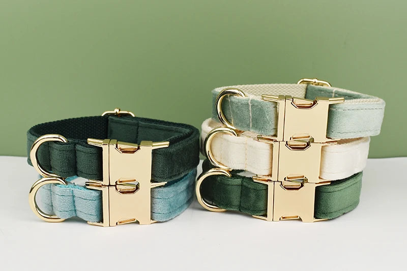 Dog Collar and Leash Set, Adjustable Velvet Collar with Gold Detail